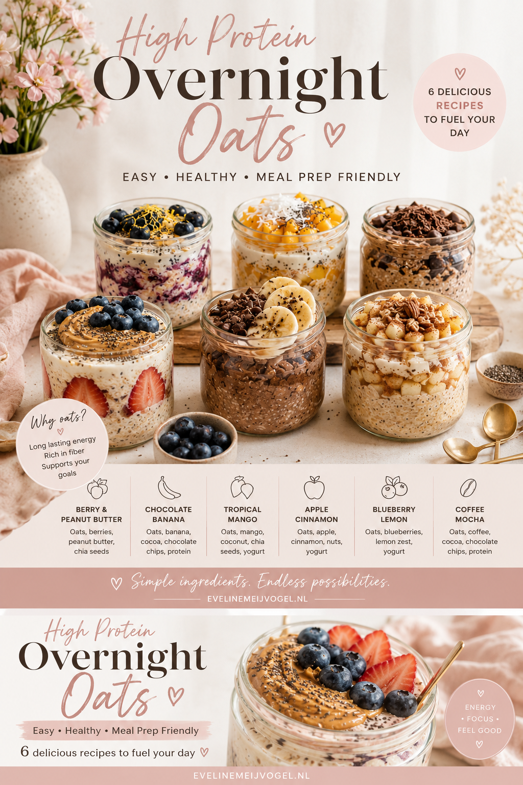 oats onbijt-oats onbijt recpeten-eveline meijvogel-schijf van vijf-voedingswijzer